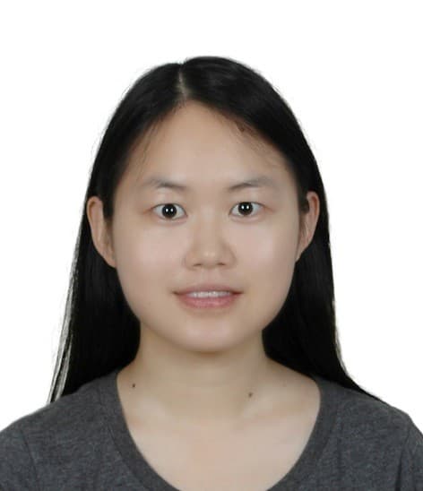 Immigration Consultant